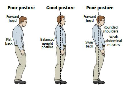 How can you improve your posture and look taller?